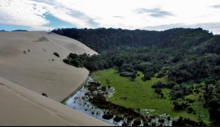 7 Lugares Turísticos Región de los Ríos