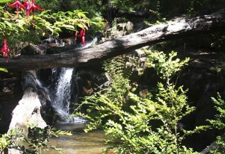 7 Lugares Turísticos en Concepción
