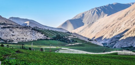 6 Lieux Touristiques Vallée de l'Elqui