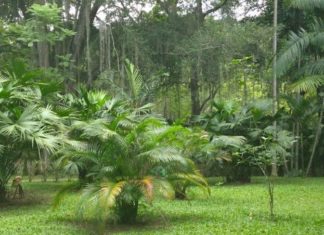 8 Lugares Turísticos de Bucaramanga
