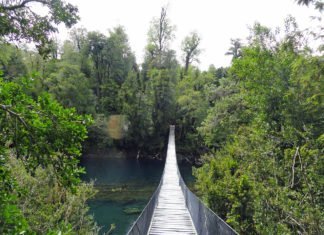 5 Lugares Turísticos Huilo Huilo