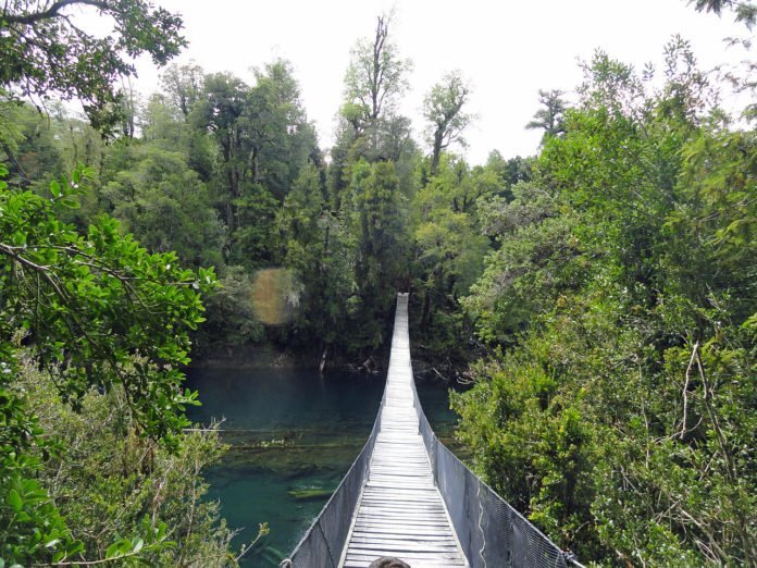 5 Lugares Turísticos Huilo Huilo