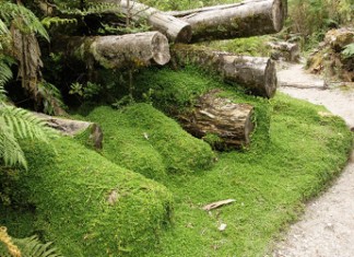 3 Lugares Turísticos Futaleufú