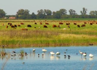 5 Lugares Turísticos La Pampa