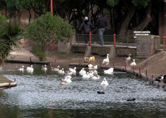 6 Lugares Turísticos Necochea