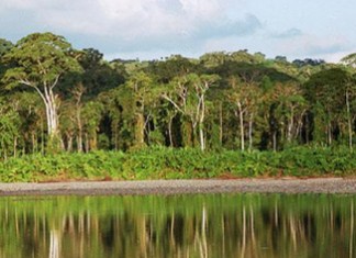 3 Lugares Turísticos Madre de Dios