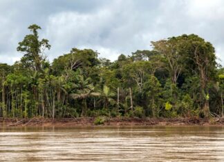 4 Lugares Turísticos de Beni