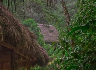 5 Lugares Turísticos Tena