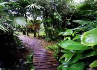 4 Lugares Turísticos de Mindo