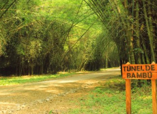 3 Lugares turísticos de Lancetilla
