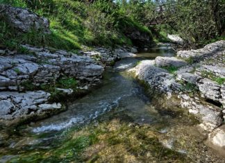 Termas en Baja California