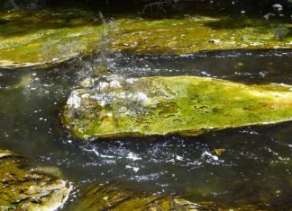 10 Termas en Michoacán