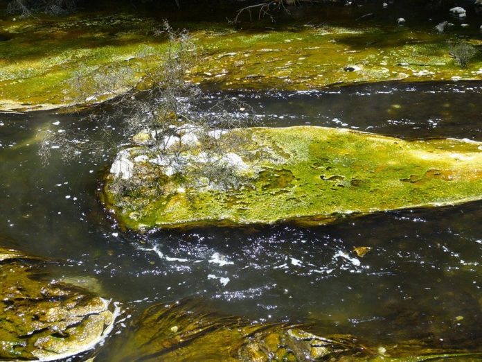 10 Termas en Michoacán
