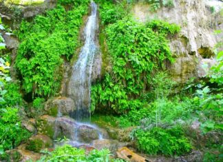 19 Termas en Hidalgo