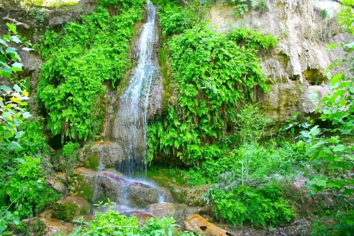 19 Termas en Hidalgo