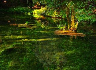 Termas en Bolivar