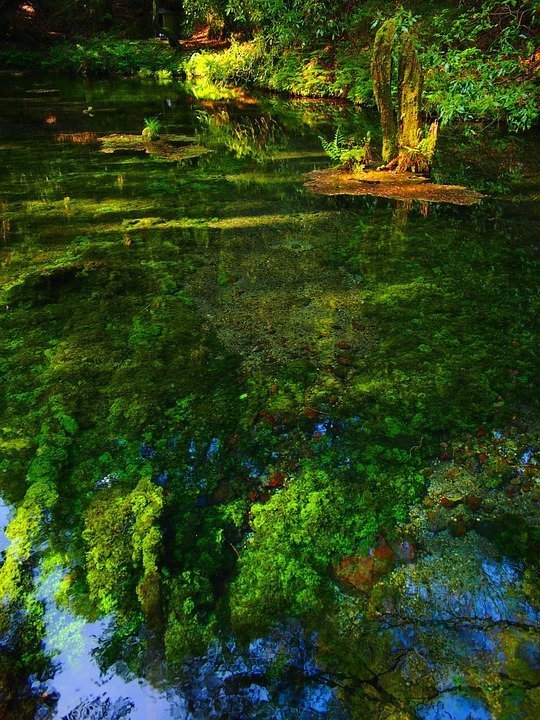 Termas en Bolivar