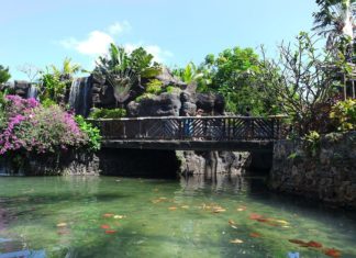 5 Termas en Hawái