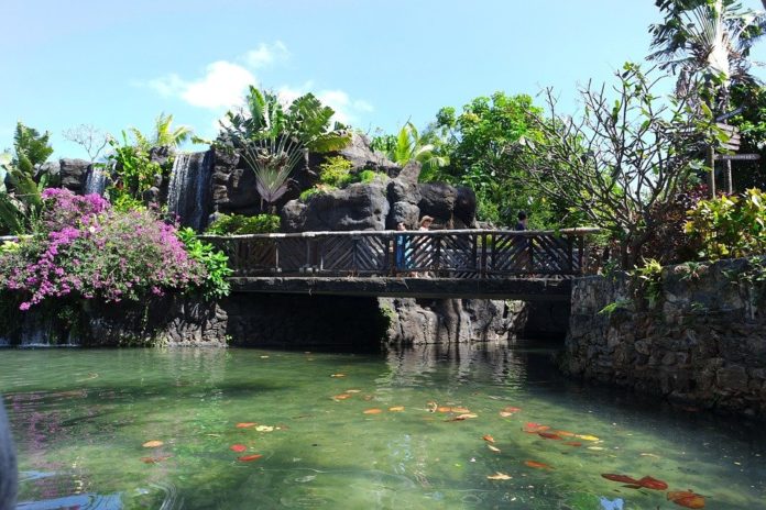 5 Termas en Hawái