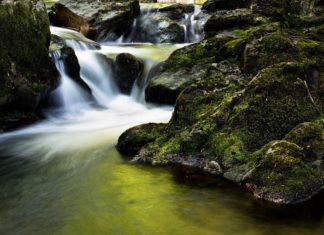 3 Termas en Táchira