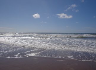Las Mejores 6 Playas Argentinas para Surfear playas argentinas surfear