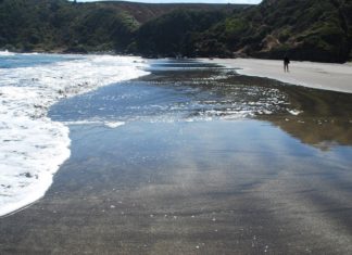 Las 5 Mejores Playas en la región del Ñuble playas en Ñuble