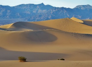 8 Lugares Turísticos de Mesquite