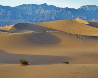 8 Lugares Turísticos de Mesquite