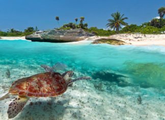 ¿Que hacer en Playa del Carmen? ¿Que hacer en Playa del Carmen?