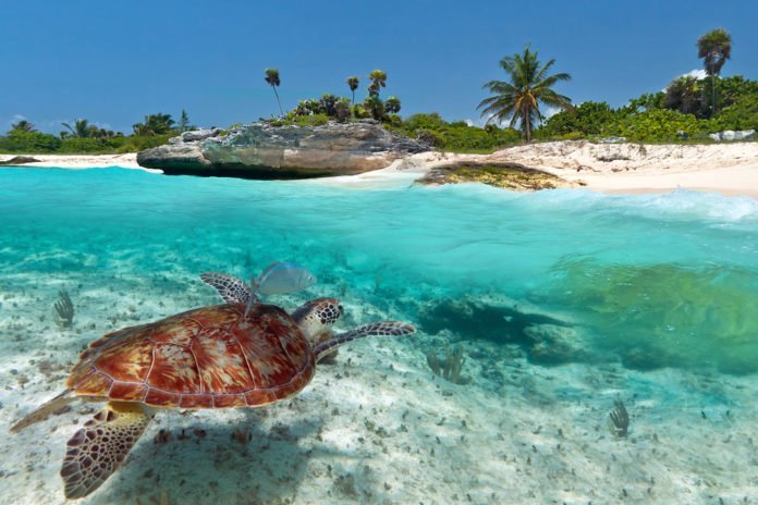 ¿Que hacer en Playa del Carmen? ¿Que hacer en Playa del Carmen?