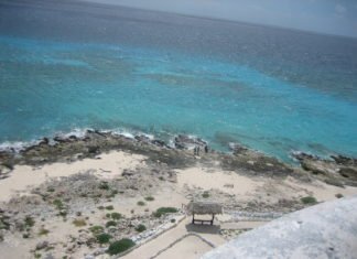 ¿Qué hacer en Cozumel? ¿Qué hacer en Cozumel?