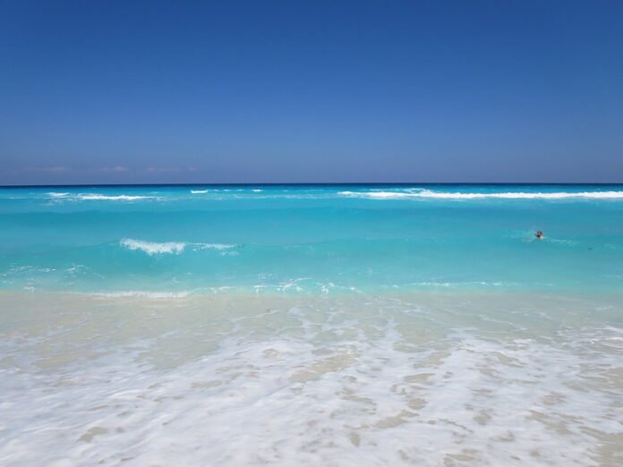 Playa Delfines: Para la familia y amantes de la fauna