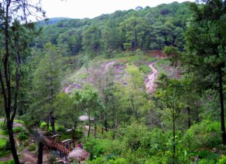 ¿Qué hacer en Mazamitla? Mazamitla