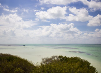 ¿Qué hacer en Holbox? ¿Qué hacer en Holbox?