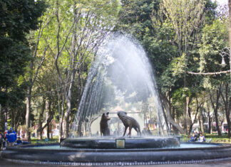 ¿Qué hacer en Coyoacán? ¿Qué hacer en Coyoacán?