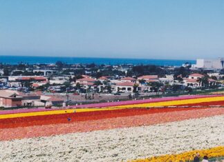 9 Lugares Turísticos de Carlsbad