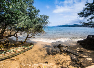 ¿Qué hacer en Sayulita? Sayulita