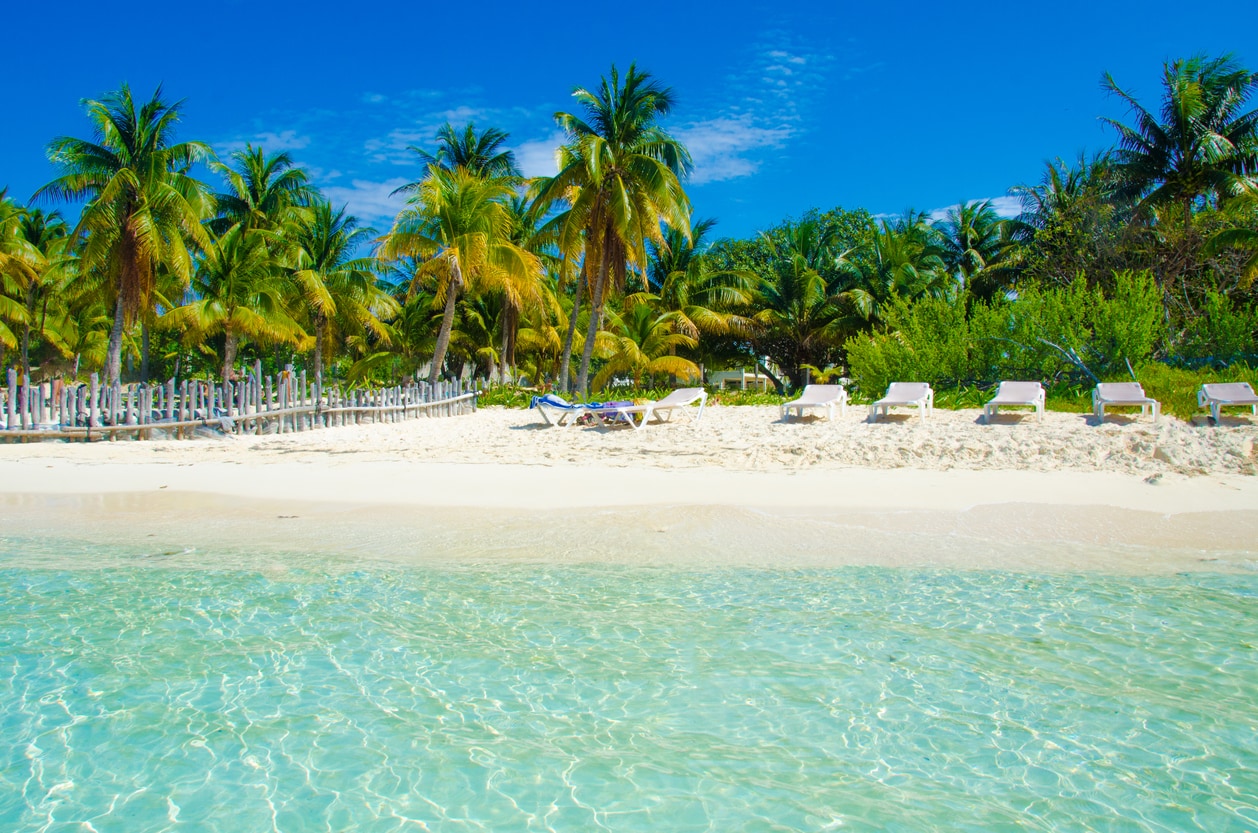 ¿Qué hacer en Isla Mujeres? ¿Qué visitar? (2022) ¿Qué hacer en Isla Mujeres? ¿Qué visitar? (2022)