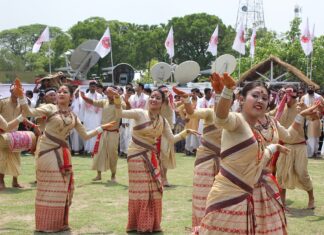 7 Lugares Turísticos de Assam