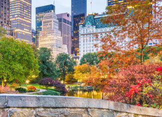 2 formas de llegar a Central Park