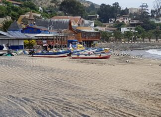 5 Mejores Playas De Papudo