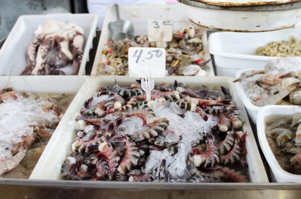 Marché aux fruits de mer Panama (horaires et lieu)
