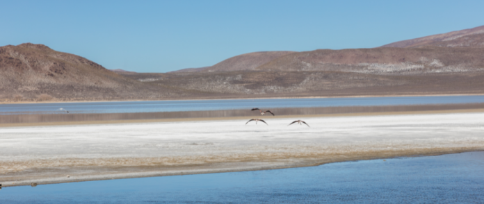 8 Mejores Playas De Arequipa