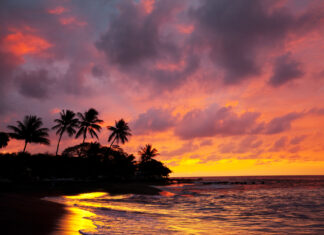 2 Formas de llegar y 4 formas de moverse por Hawái