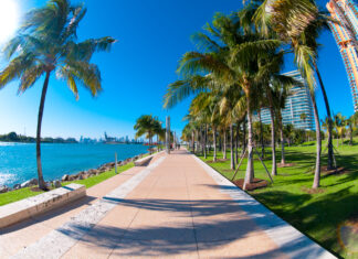 5 formas de moverse en Miami