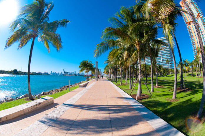 5 formas de moverse en Miami