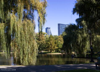 5 cosas que hacer en Boston