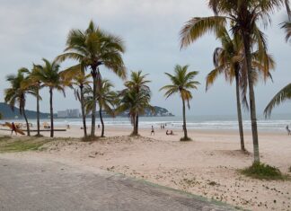 12 Mejores Playas De Guarujá