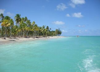 8 Mejores Playas De Maceió