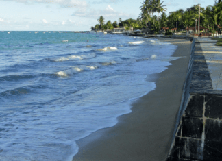 8 Mejores Playas De Maragogi